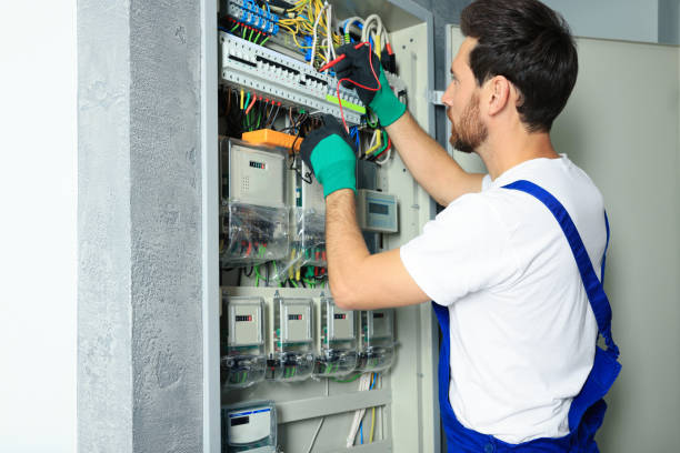 Best Local Electrician Companies  in Nekoosa, WI